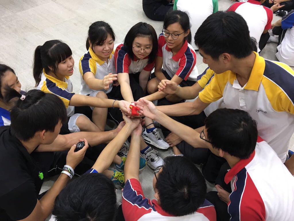 WhatsApp Image 2019-02-11 at 18.28.11