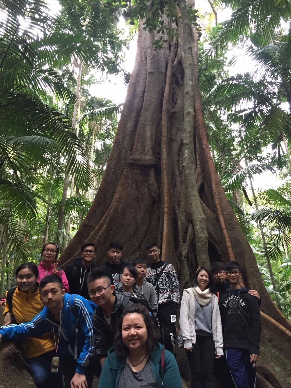 Exploration of the Natural Ecosystems and Urban Development in Australia