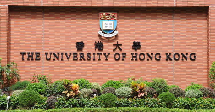Career Aspiration at HKU 2024