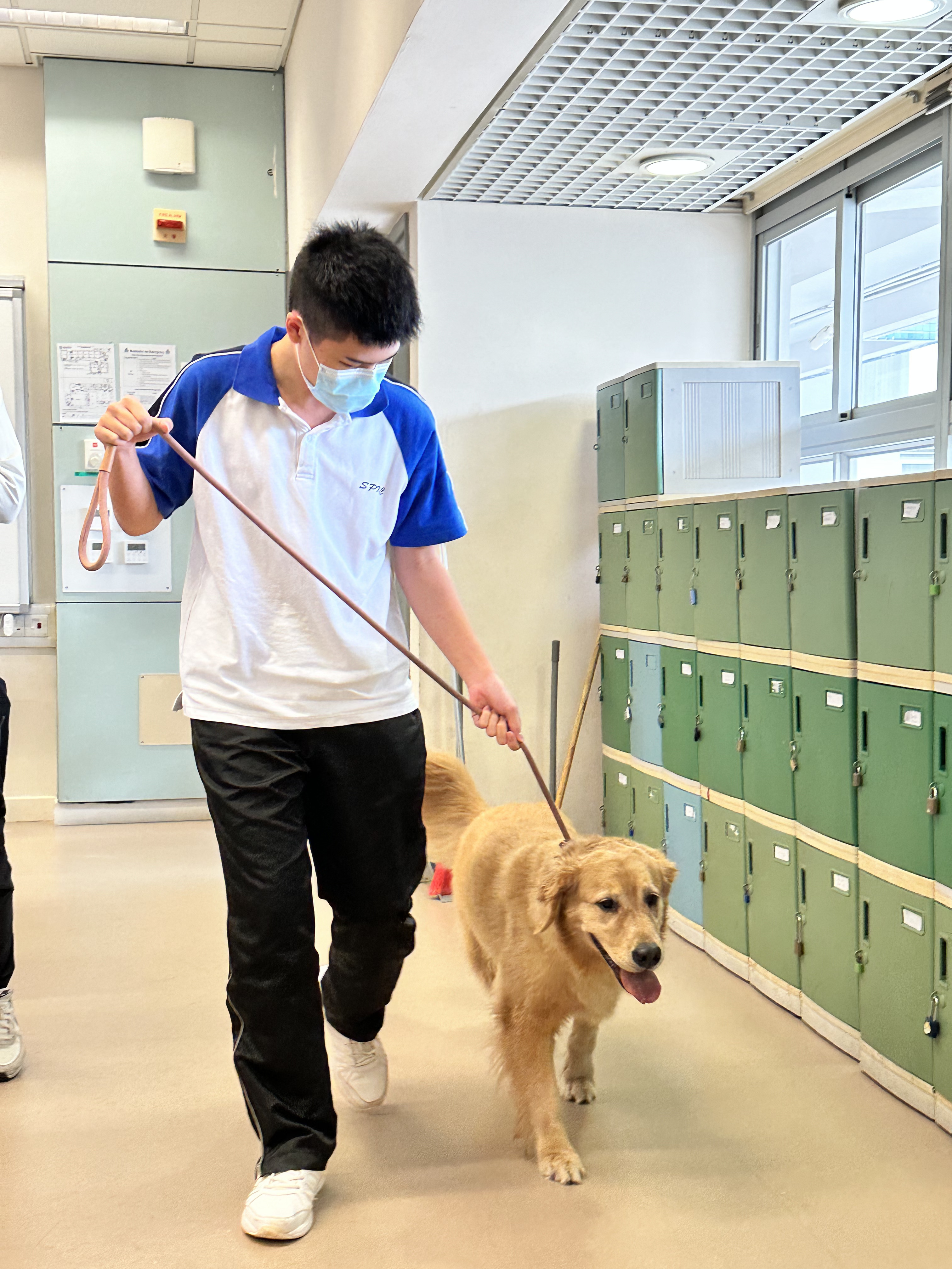 LEWOWA 2324 – 08 Pawsome Pals : Pet Grooming Masterclass