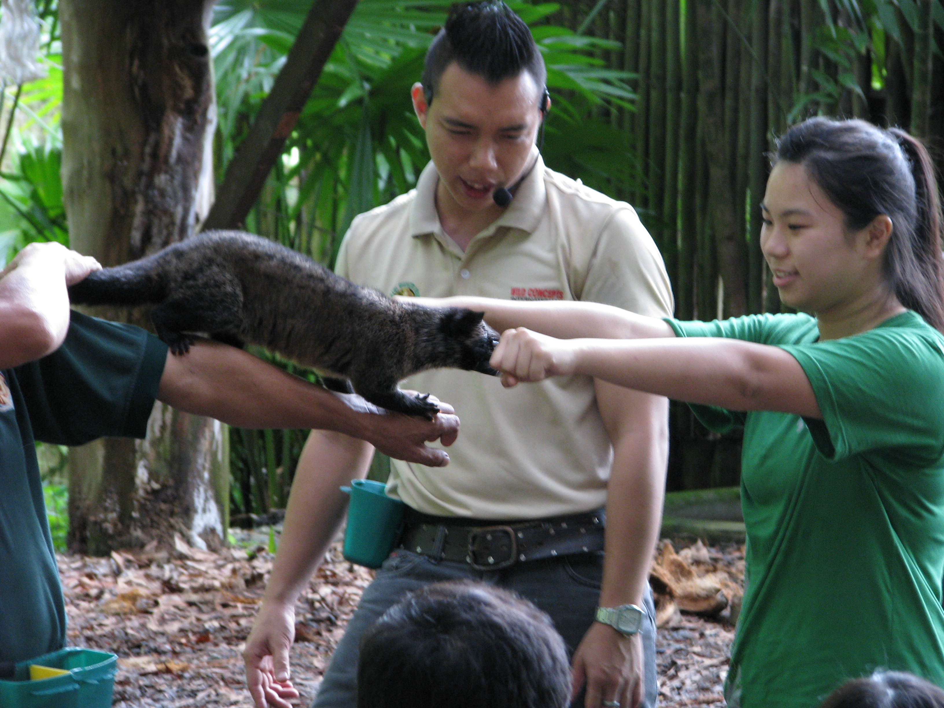 Learning Without Walls – Leadership and Team Building Scheme- Study Tour in Sabah