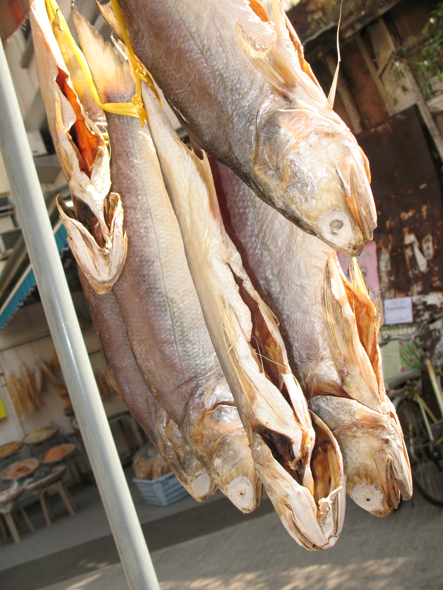 Learning Without Walls – Tai O Community Project (29-01-2007)-(02-02-2007)